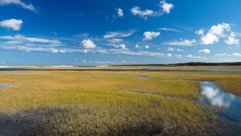 Otis Air National Guard Base in Sandwich, MA Opens Energy Independent Microgrid