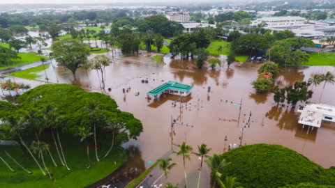 Floating Microgrids Could Help Power Islands After Disasters