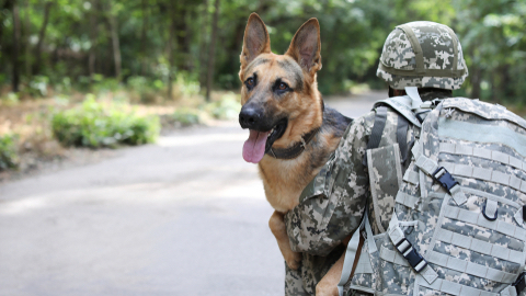 AR Goggles Enable Communication With Military Working Dogs on Battlefield
