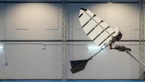 The GRIFFIN Project Successfully Creates A Perching Robot