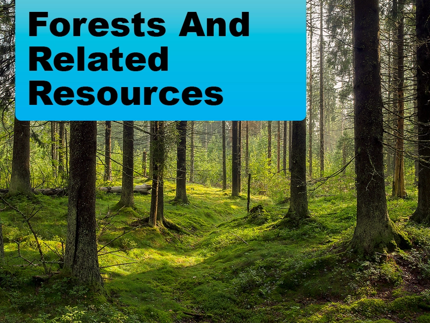 Forests and Related Resources
