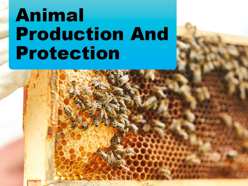 Animal Production and Protection