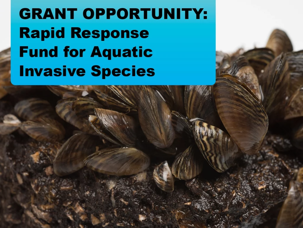 GRANT OPPORTUNITY: Rapid Response Fund for Aquatic Invasive Species