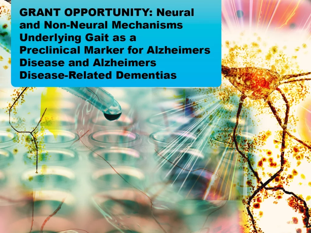 GRANT OPPORTUNITY: Neural and Non-Neural Mechanisms Underlying Gait as a Preclinical Marker for Alzheimers Disease and Alzheimers Disease-Related Dementias