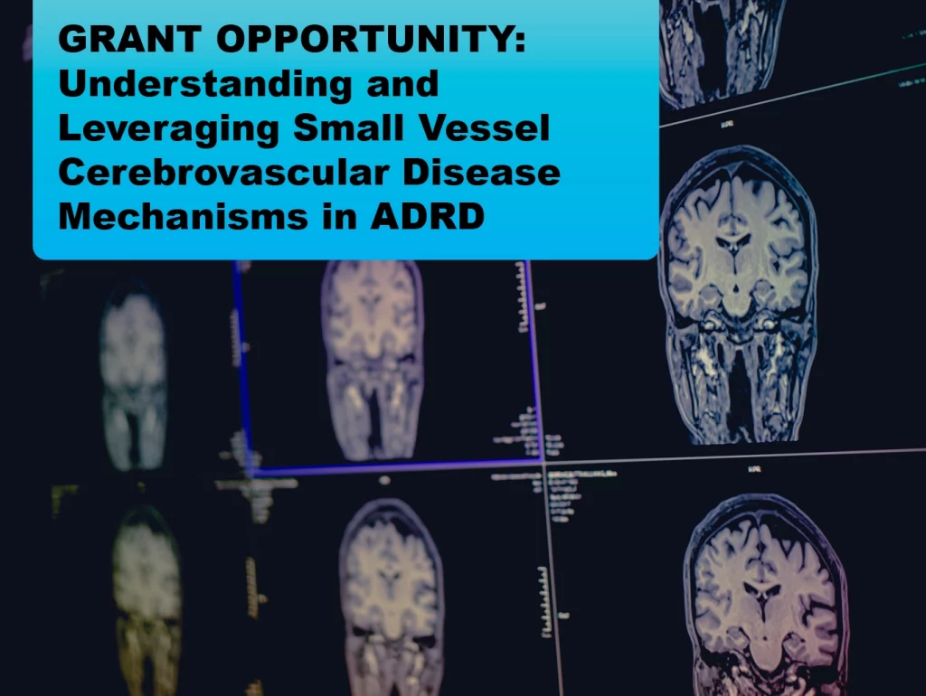 Due: 2024-2 GRANT OPPORTUNITY: Understanding and Leveraging Small Vessel Cerebrovascular Disease Mechanisms in ADRD