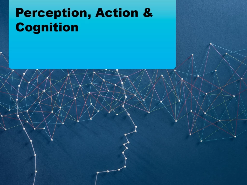 Due: 2024-02 Perception, Action & Cognition