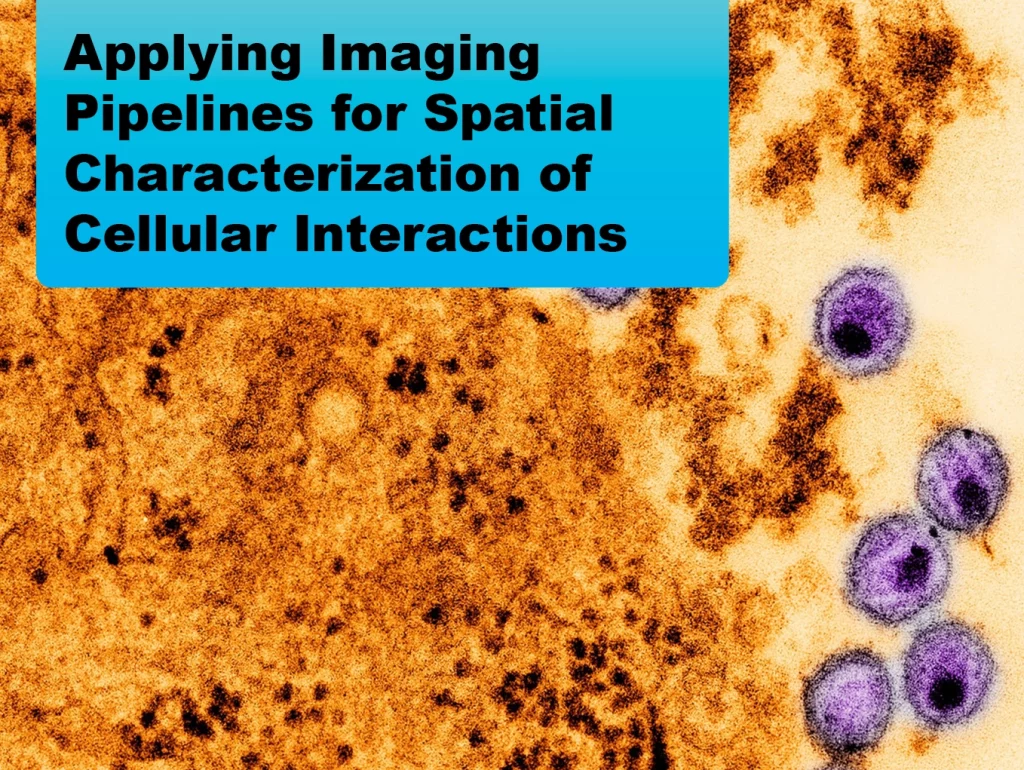 Due: 2024-02 Applying Imaging Pipelines for Spatial Characterization of Cellular InteractionsDue: 2024-02