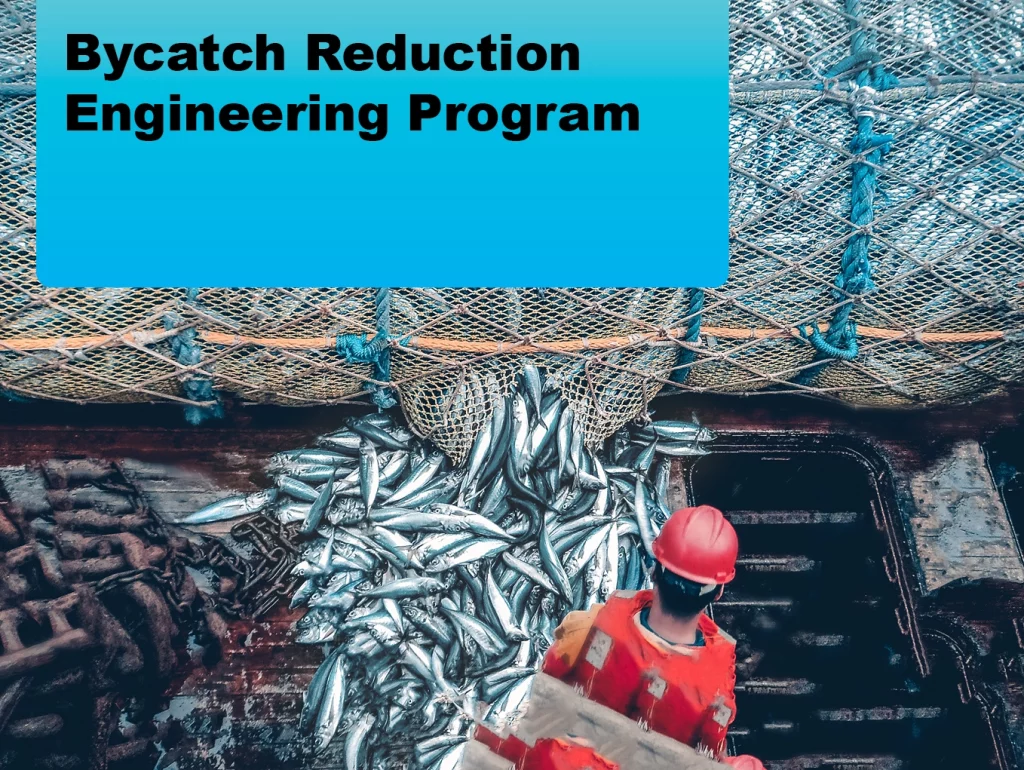 Due: 2024-03 Bycatch Reduction Engineering Program