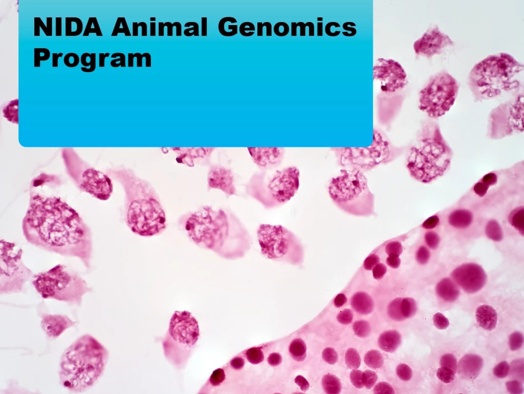 Due: 2024-03 NIDA Animal Genomics Program