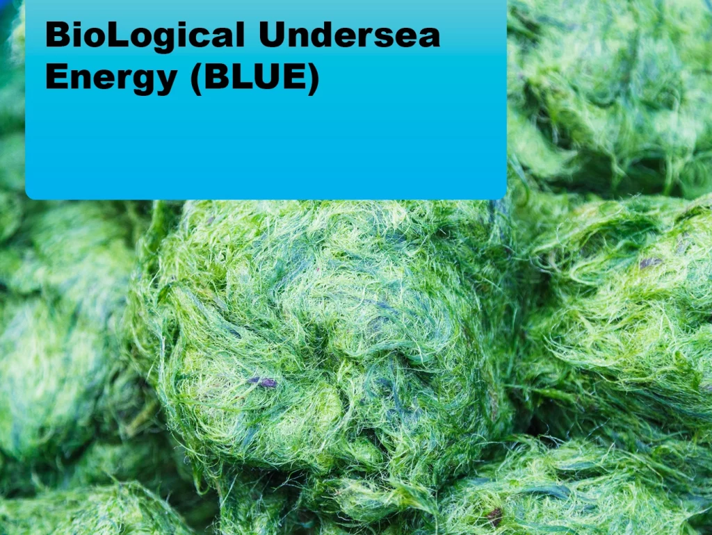 2024-04 BioLogical Undersea Energy (BLUE)