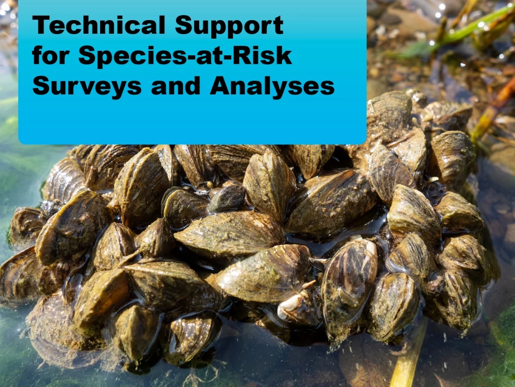 2024-08 Technical Support for Species-at-Risk Surveys and Analyses in Support of Army Environmental Conservation