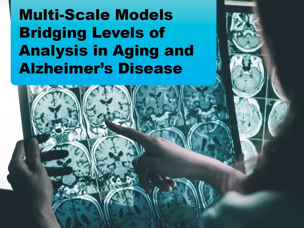 2024-06 Multi-Scale Models Bridging Levels of Analysis in Aging and Alzheimer's Disease (AD) and AD-Related Dementias (ADRD)