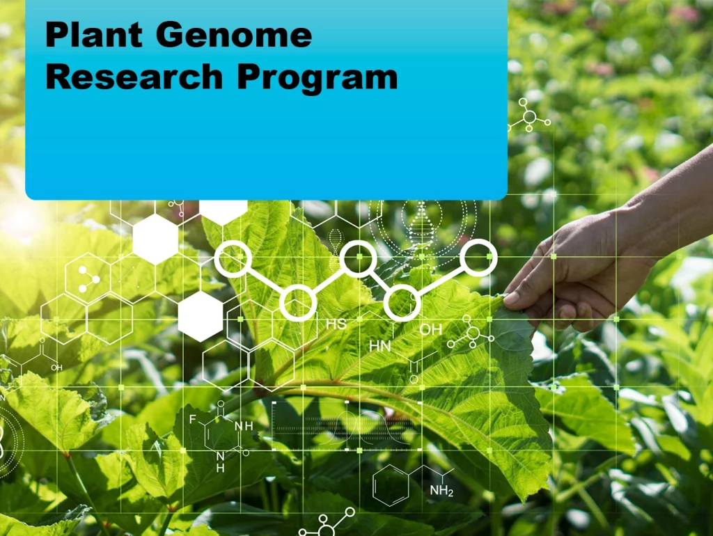 Open Ended - Plant Genome Research Program