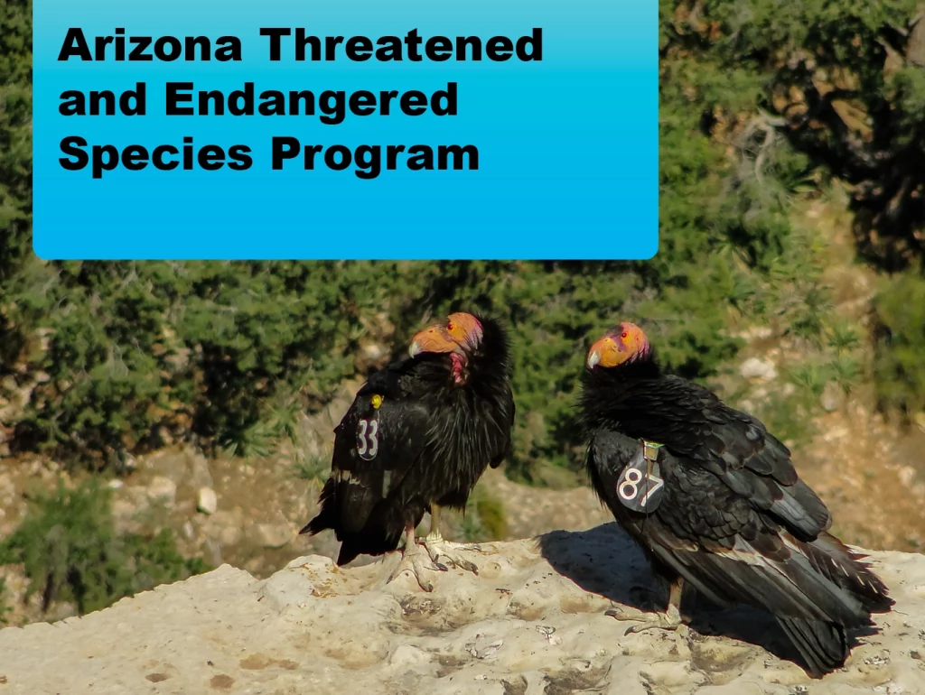 2024-05 Bureau of Land Management Arizona Threatened and Endangered Species Program