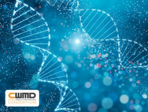 Far Forward Biological Sequencing, FFBS, Increment 2