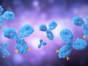 Early Immune System Development and Ontogeny