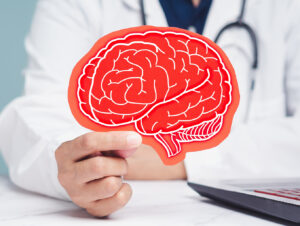 Cognitive Neuroscience