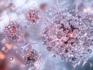 Innovative Research in Cancer Nanotechnology