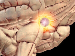 Blueprint Neurotherapeutics Network (BPN): Small Molecule Drug Discovery and Development of Disorders of the Nervous System