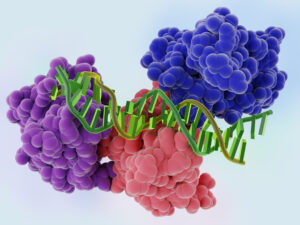 HEAL Initiative-Early-Stage Discovery of New Pain Targets within the Understudied Druggable Proteome