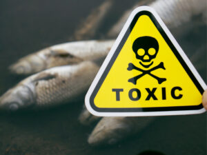 Harmful Algal Bloom Innovation Challenge: Toxin Detection in Seafood
