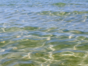 Physical Oceanography