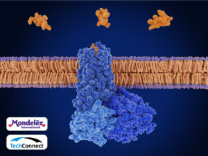 Correlating Type-2 Taste Receptors and Satiety Sprint