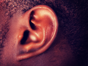 Cooperative Agreement for In Vivo High-Resolution Imaging for Inner Ear Visualization