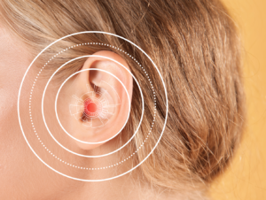 In Vivo High-Resolution Imaging for Inner Ear Visualization