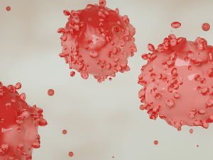 Specialized Programs of Research Excellence (SPOREs) in Human Cancers for Years 2024, 2025, and 2026